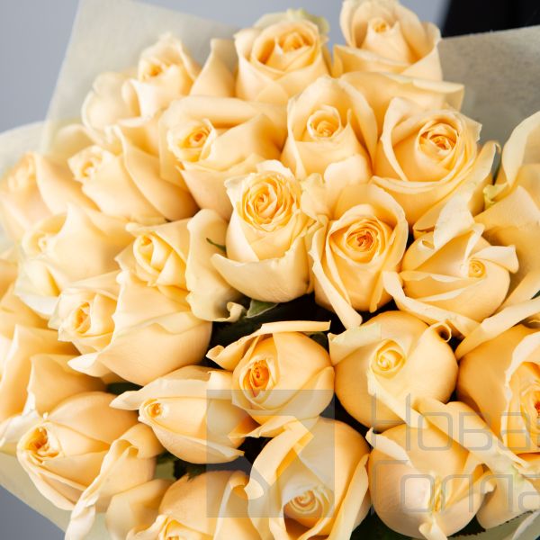 Букет 25 кремовых роз Кения 40 см в упаковке