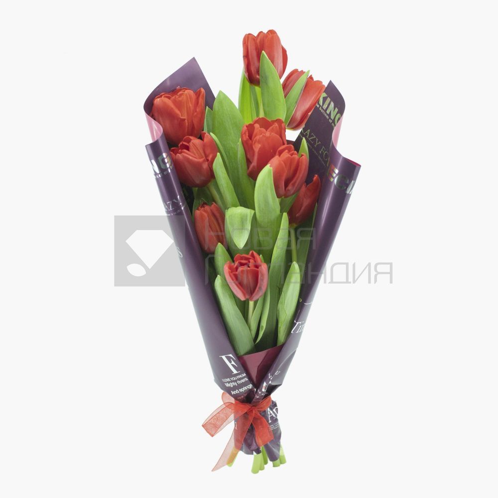 Букет 9 красных тюльпанов-3