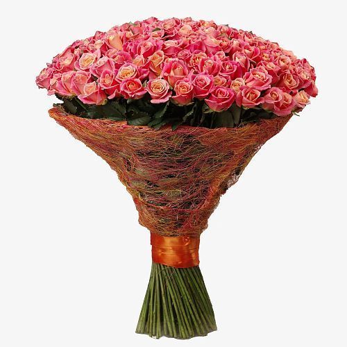 Букет 151 персиково-розовая роза 60 см