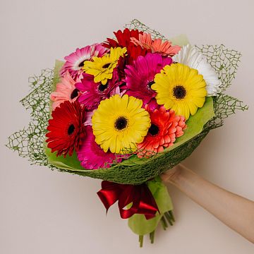 Букет из 15 гербер Букет из 15 гербер