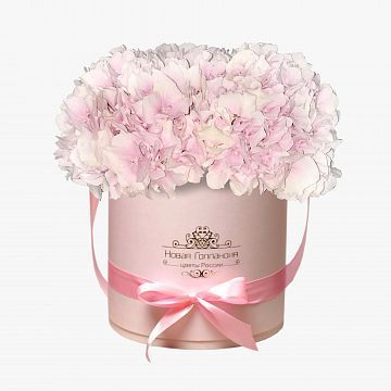 3 розовые Гортензии в розовой шляпной коробке