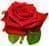 Красная роза 70 см