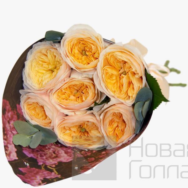 Букет из 7 персиковых пионовидных роз премиум с декором