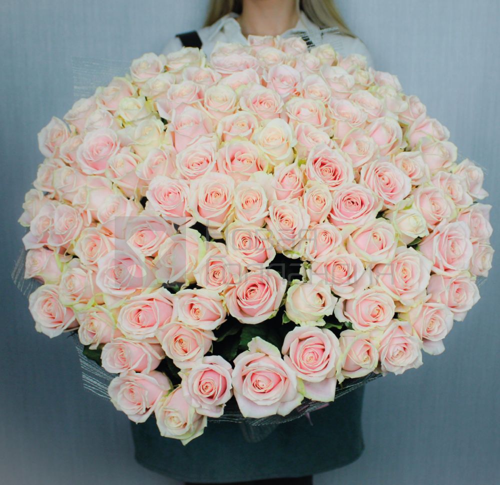 Букет 101 нюдовая роза 70 см