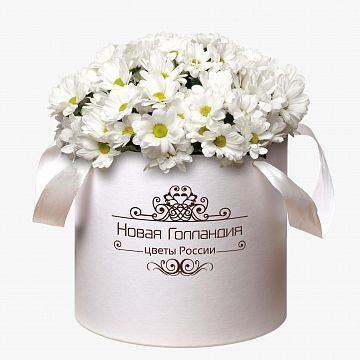 15 Белых Ромашковых хризантем в большой белой коробке №245