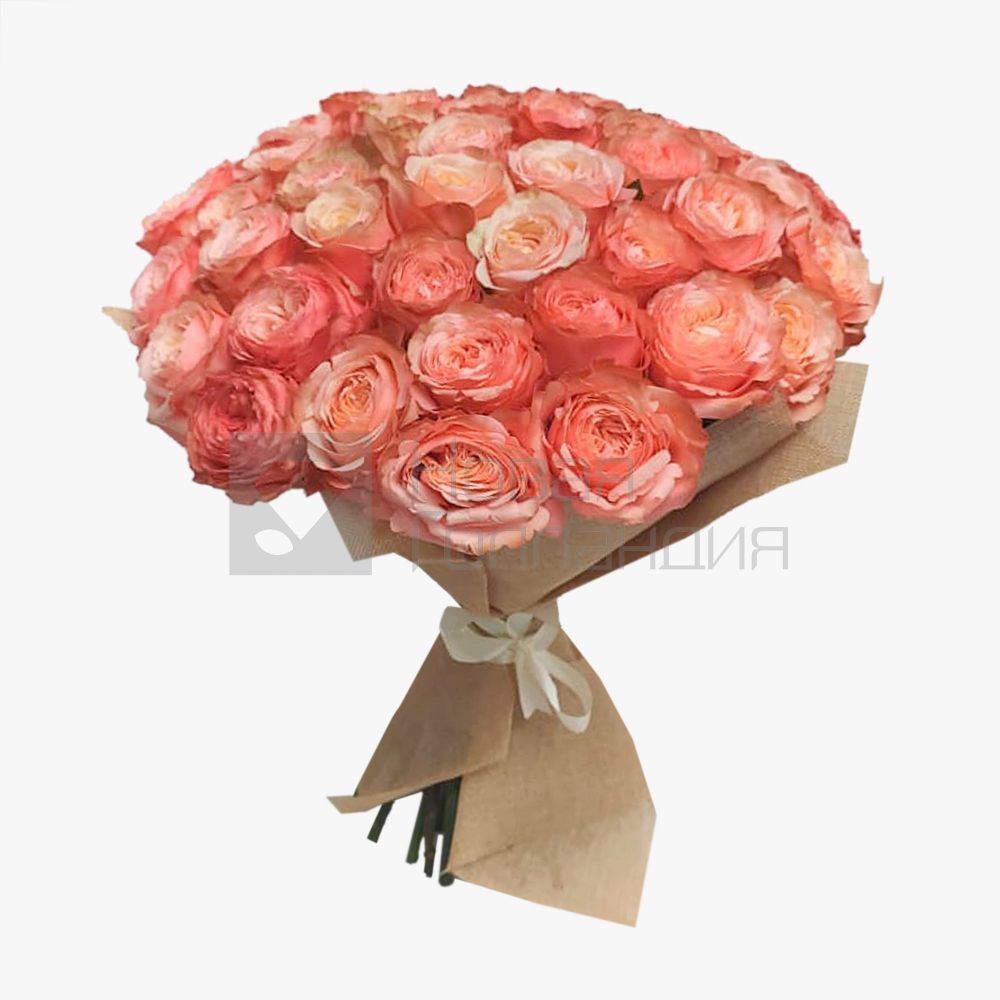 Букет 51 пионовидная персиковая роза Премиум