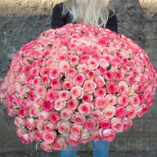 Букет 301 розовая роза 60 см