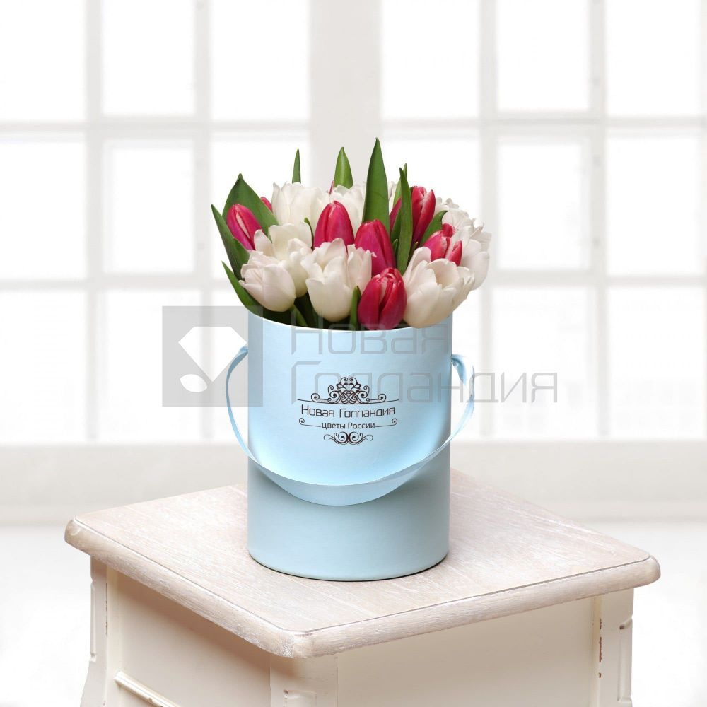 25 красно-белых тюльпанов в маленькой голубой шляпной коробке №416