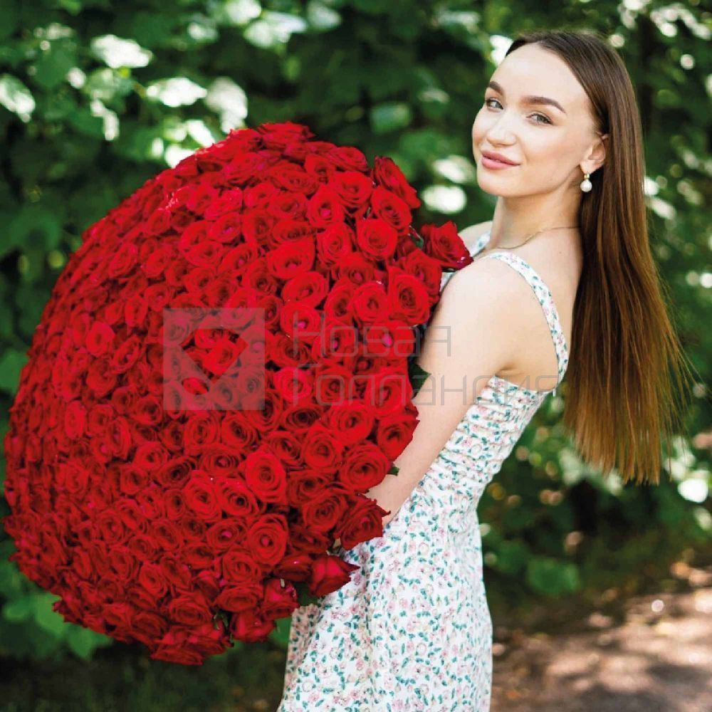 Букет из 301 красной розы 60 см
