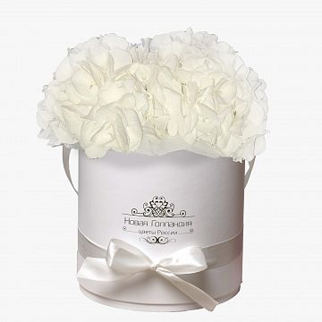 3 Белые Гортензии в белой шляпной коробке 3 Белые Гортензии в белой шляпной коробке