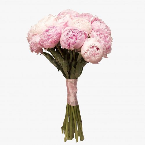 Букет 17 нежно-розовых пионов