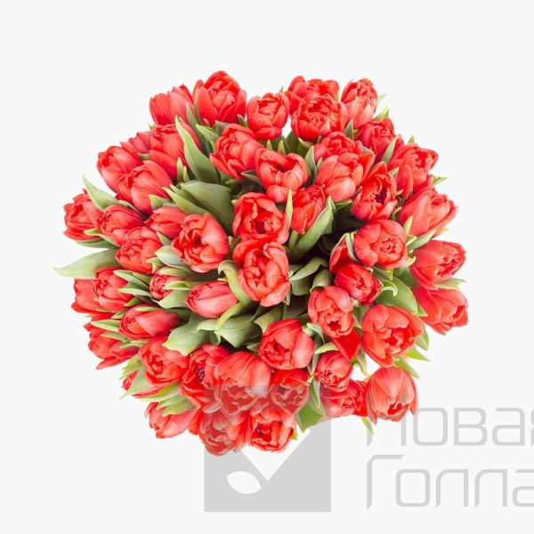 59 красных тюльпанов в большой белой шляпной коробке №503
