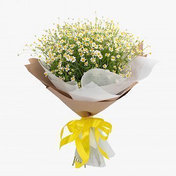 Букет 15 ромашек Букет 15 ромашек