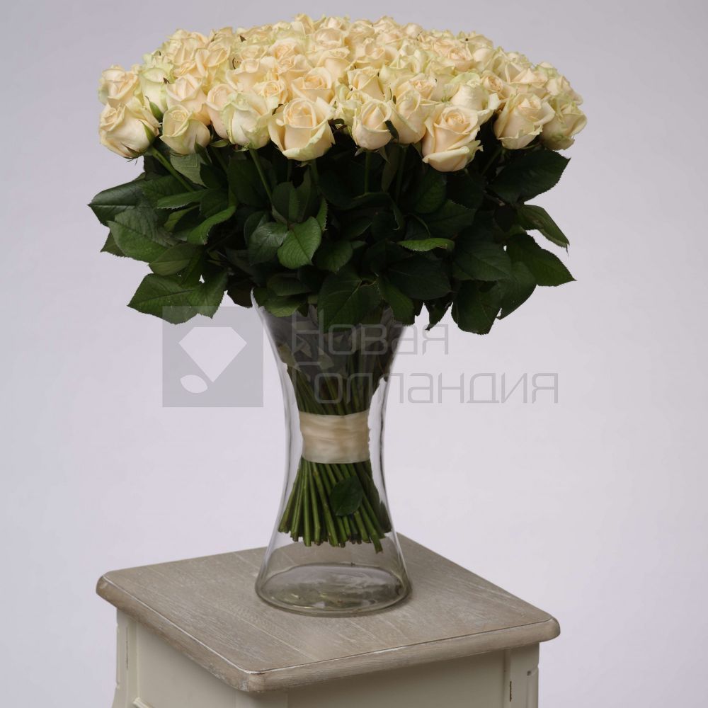 Букет 101 кремовая роза 50 см в вазе