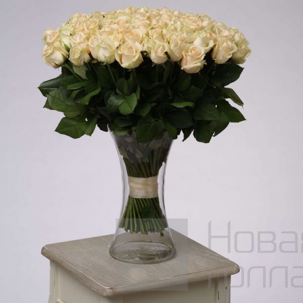 Букет 101 кремовая роза 50 см в вазе