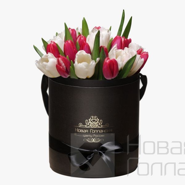 35 красно-белых тюльпанов в черной шляпной коробке №171