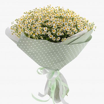 Букет 49 ромашек