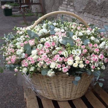 Жемчужина души в корзине Жемчужина души в корзине