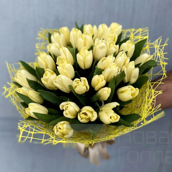 Букет 35 кремовых тюльпанов