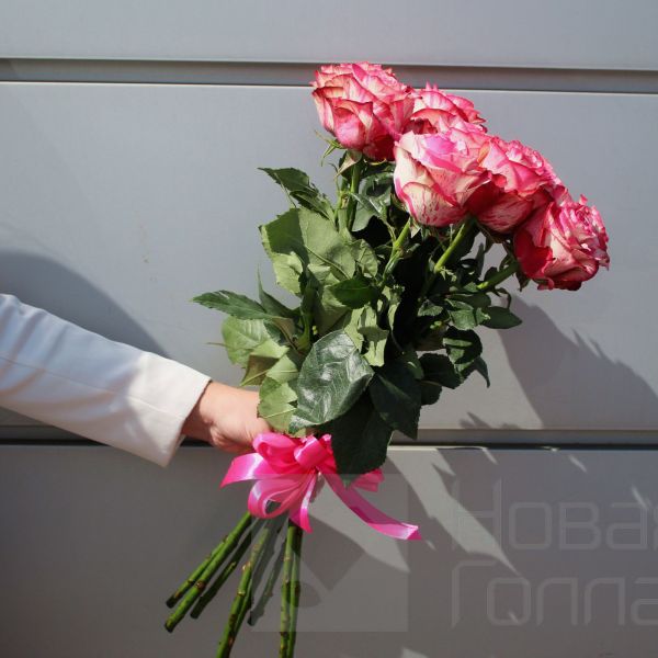 Букет 9 бело-розовых роз Эквадор