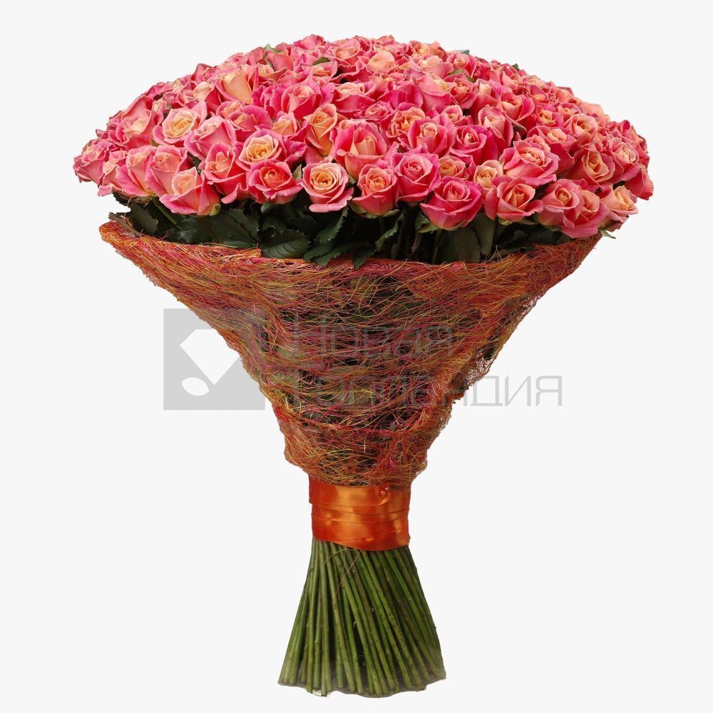 Букет 151 персиково-розовая роза 60 см