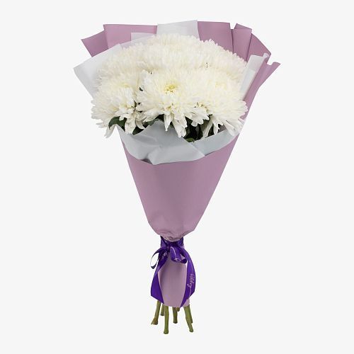 Букет 7 белых хризантем в упаковке
