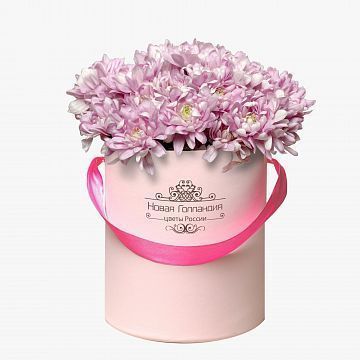 5 Розовых хризантем в маленькой розовой коробке №281