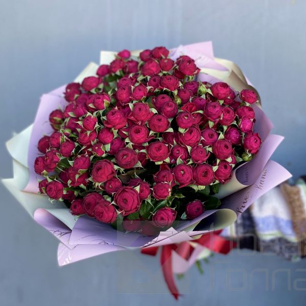 Букет 25 красных кустовых пионовидных роз