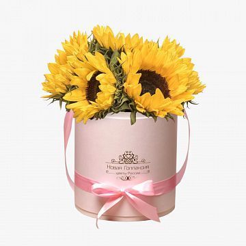 Подсолнухи в розовой шляпной коробке Подсолнухи в розовой шляпной коробке