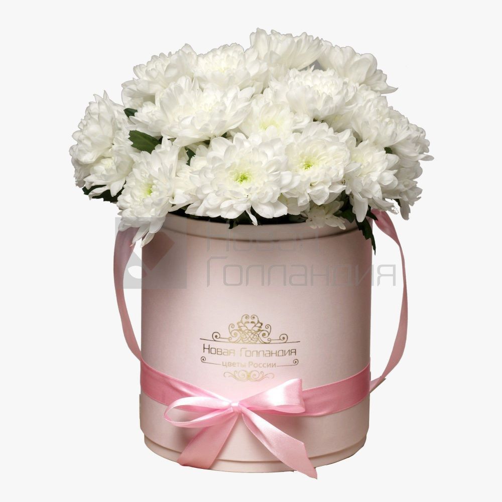 7 Белых хризантем в розовой шляпной коробке №78