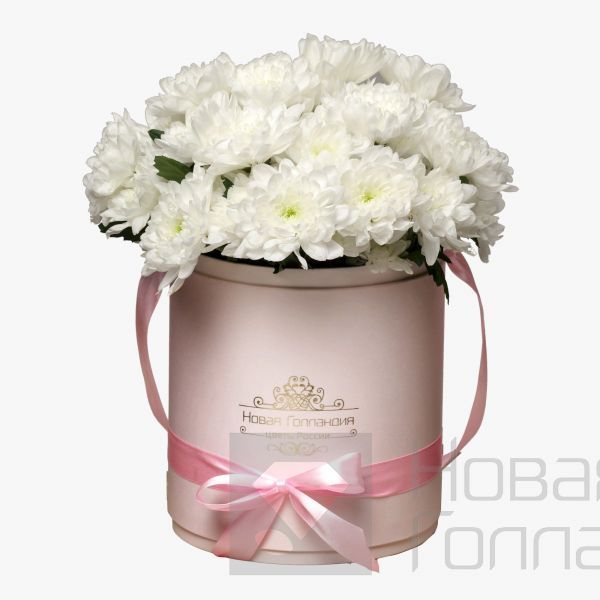 7 Белых хризантем в розовой шляпной коробке №78