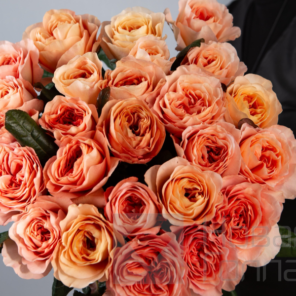 Букет 31 коралловая роза 60 см