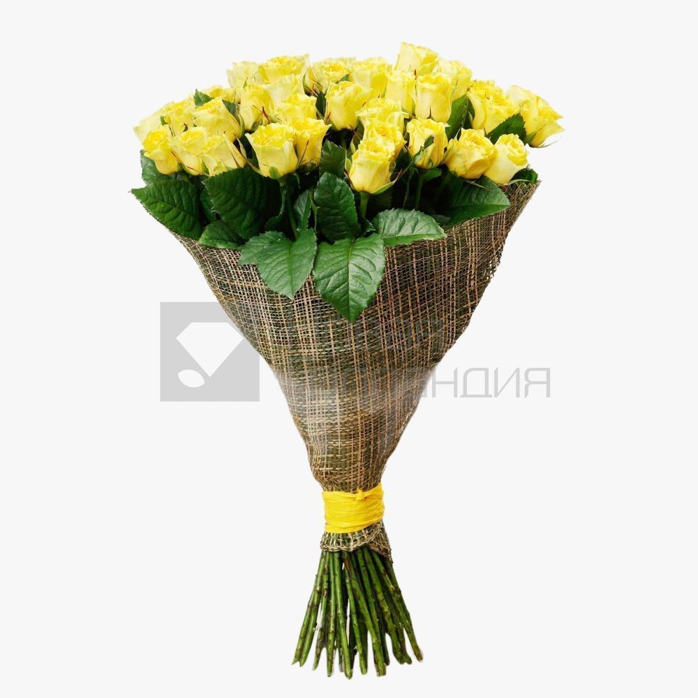 Букет 51 желтая роза 60см