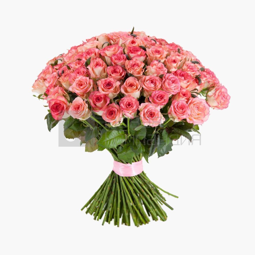 Букет из 101 розовая роза 50 см Россия