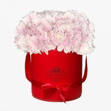 3 розовые Гортензии в красной шляпной коробке