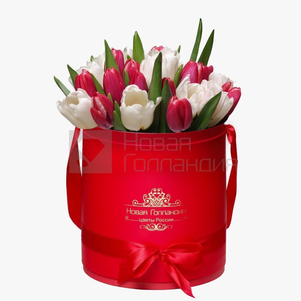 35 красно-белых тюльпанов в красной шляпной коробке №168