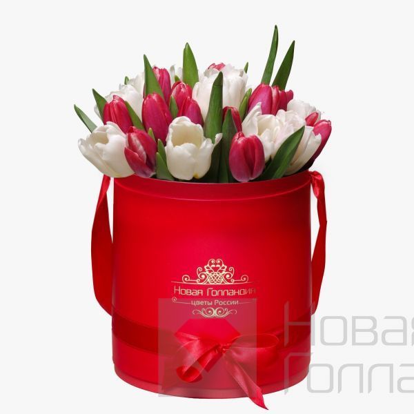 35 красно-белых тюльпанов в красной шляпной коробке №168