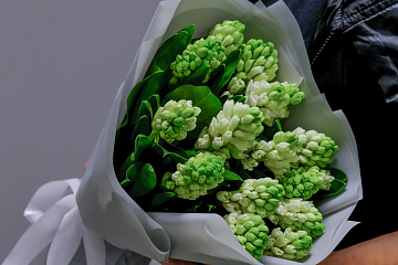 Букет из 15 гиацинтов