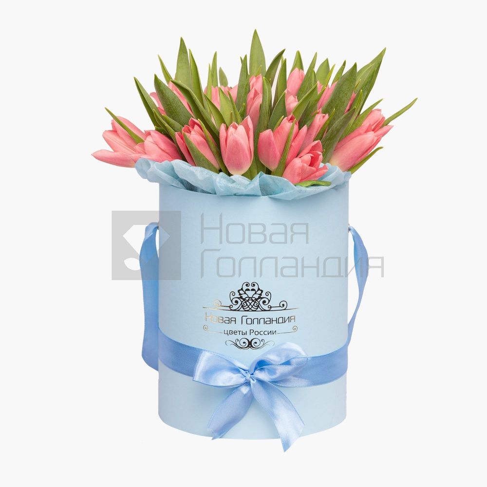 25 розовых тюльпанов в голубой маленькой шляпной коробке №545
