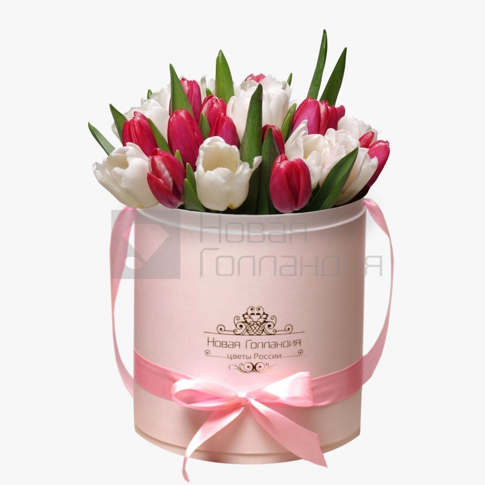 35 красно-белых тюльпанов в розовой шляпной коробке №169