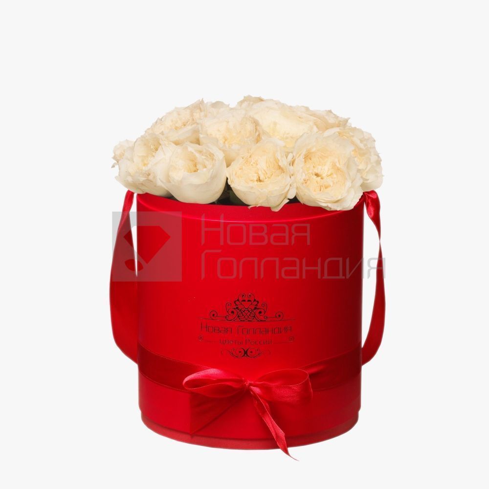 11 белых пионовидных роз Премиум в красной шляпной коробке №367