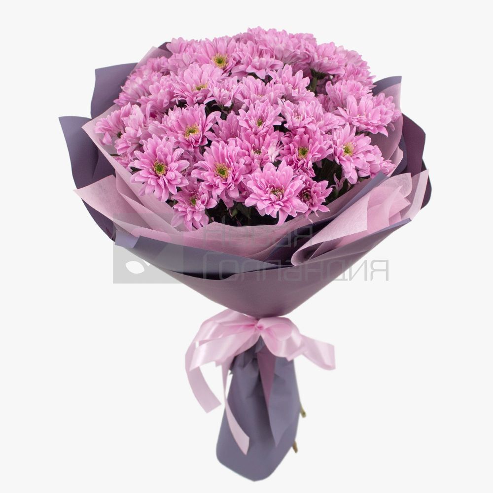 Букет 11 розовых кустовых хризантем