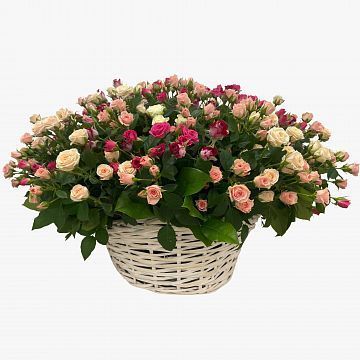 Кустовые розы ассорти в большой корзине