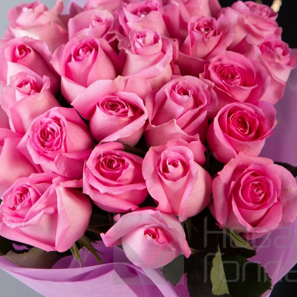 Букет 25 розовых роз Кения 40 см в упаковке