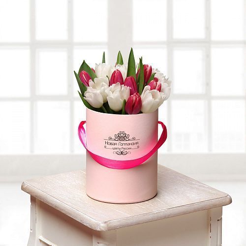 25 красно-белых тюльпанов в маленькой розовой шляпной коробке 