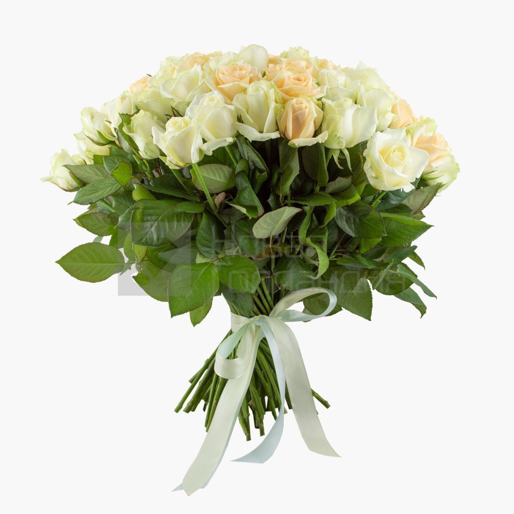 Букет 101 кремово-белая роза 40 см Россия
