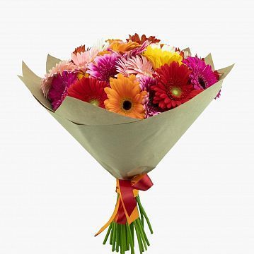 Букет 35 гербер микс Букет 35 гербер микс