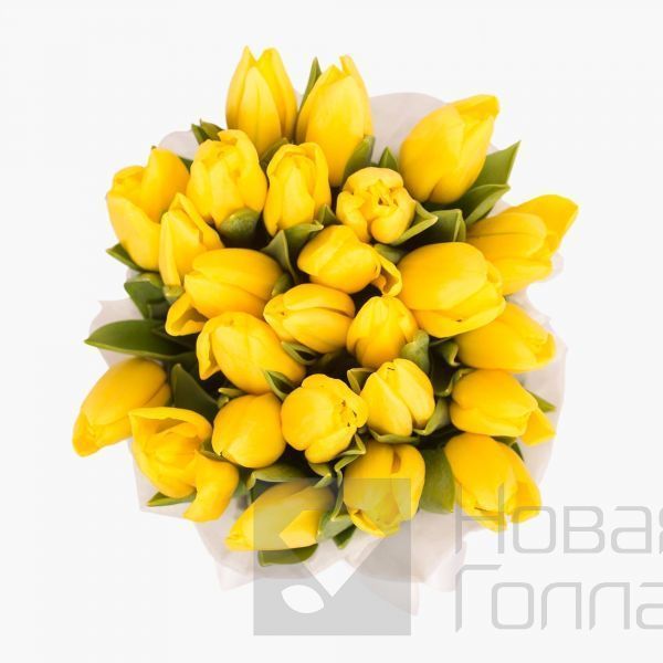 25 желтых тюльпанов в белой маленькой шляпной коробке №534