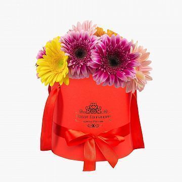 11 гербер в красной шляпной коробке №686 11 гербер в красной шляпной коробке №686