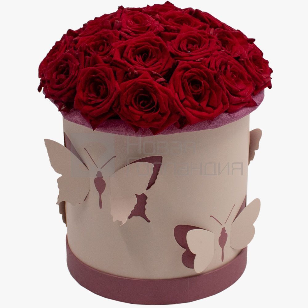 25 красных роз в средней коробке с бабочками